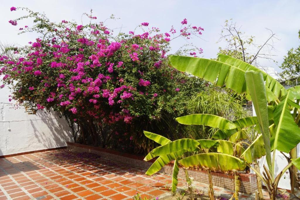 Hotel Mar Di Plata Barranquilla  Extérieur photo