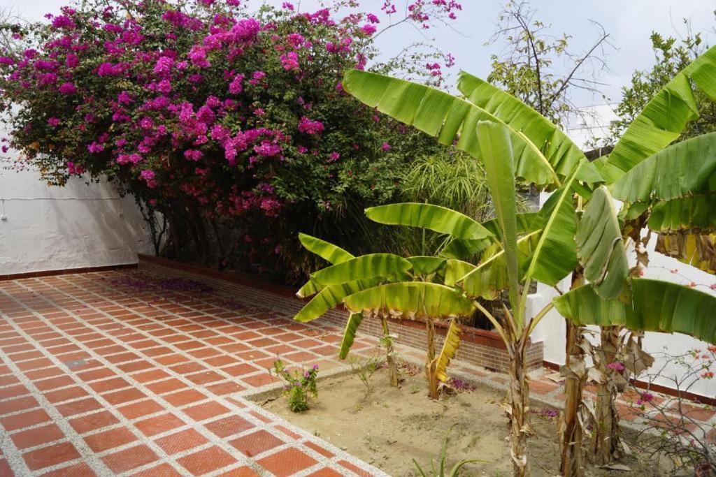 Hotel Mar Di Plata Barranquilla  Extérieur photo